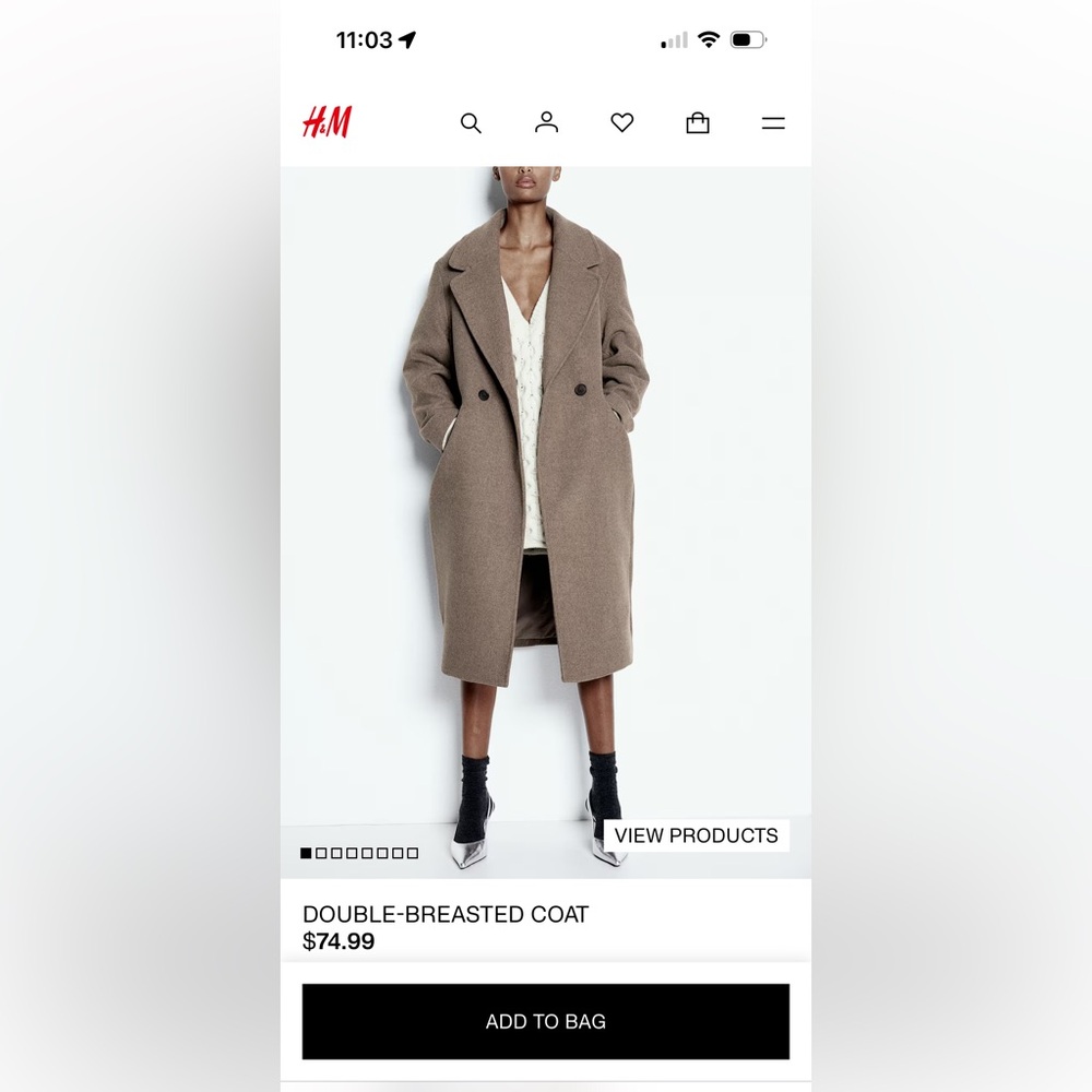 H&M Wool Long Coat